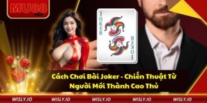Cách Chơi Bài Joker - Chiến Thuật Từ Người Mới Thành Cao Thủ