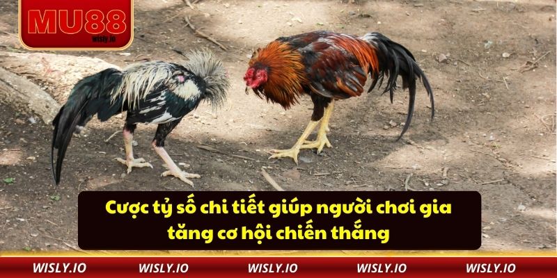 Trường Gà Sabong MU88 – Nơi Cá Cược Đá Gà Trở Nên Dễ Dàng Cược tỷ số chi tiết giúp người chơi gia tăng cơ hội chiến thắng