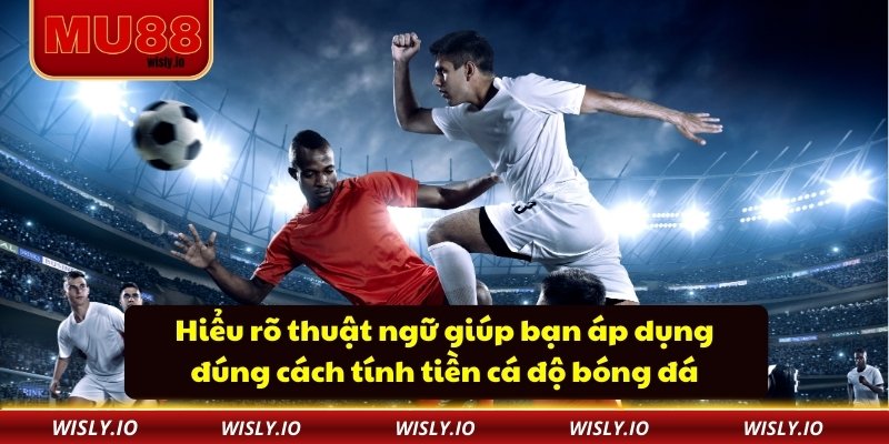 Hiểu rõ thuật ngữ giúp bạn áp dụng đúng cách tính tiền cá độ bóng đá