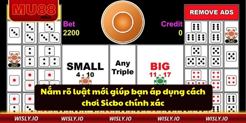 Cách Chơi Sicbo Giúp Người Chơi Kiểm Soát Rủi Ro Tối Đa Nắm rõ luật mới giúp bạn áp dụng cách chơi Sicbo chính xác